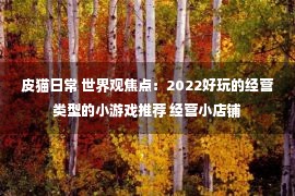 皮猫日常 世界观焦点：2022好玩的经营类型的小游戏推荐 经营小店铺