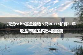 投资reits基金经验 5只REITs扩募！年收益率碾压多数A股股票