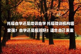 托福自学还是培训自学 托福培训机构哪家强？自学还是报班好？适合自己更重要！雷哥托福