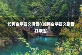 如何自学盲文拼音((如何自学盲文拼音打字法)