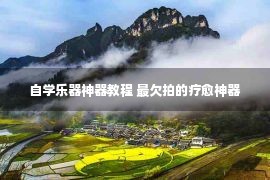 自学乐器神器教程 最欠拍的疗愈神器