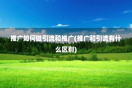 推广如何做引流和推广(推广和引流有什么区别)