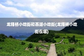 龙翔桥小吃街和西湖小吃街(龙翔桥小吃街在哪)