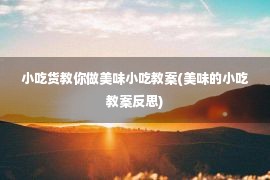 小吃货教你做美味小吃教案(美味的小吃教案反思)