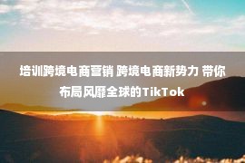 培训跨境电商营销 跨境电商新势力 带你布局风靡全球的TikTok