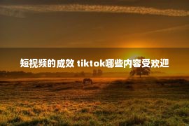 短视频的成效 tiktok哪些内容受欢迎