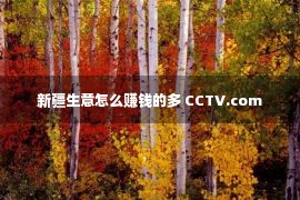 新疆生意怎么赚钱的多 CCTV.com