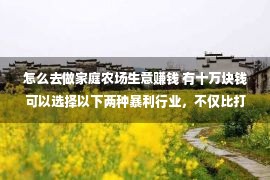 怎么去做家庭农场生意赚钱 有十万块钱可以选择以下两种暴利行业，不仅比打工强还能致富