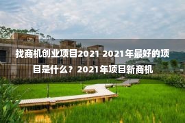 找商机创业项目2021 2021年最好的项目是什么？2021年项目新商机