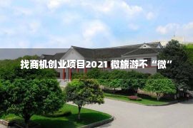 找商机创业项目2021 微旅游不“微”