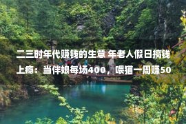 二三时年代赚钱的生意 年老人假日搞钱上瘾：当伴娘每场400，喂猫一周赚5000