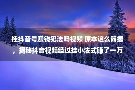 挂抖音号赚钱犯法吗视频 原本这么简捷，揭秘抖音视频经过挂小法式赚了一万