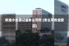 创业小生意记录怎么写好 (怎么写创业经历)