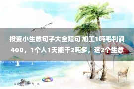 投资小生意句子大全短句 加工1吨毛利润400，1个人1天能干2吨多，这2个生意销路好找投资小