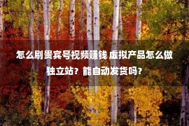 怎么刷贵宾号视频赚钱 虚拟产品怎么做独立站？能自动发货吗？