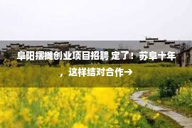 阜阳摆摊创业项目招聘 定了！苏阜十年，这样结对合作→