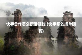 快手合作怎么接活赚钱 (快手怎么接单赚钱)