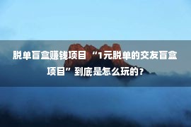 脱单盲盒赚钱项目 “1元脱单的交友盲盒项目”到底是怎么玩的？