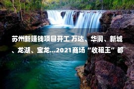 苏州新赚钱项目开工 万达、华润、新城、龙湖、宝龙...2021商场“收租王”都有谁？