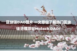 区块链DAO图片 一文带你了解热门区块链治理项目Moloch DAO！