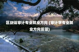 区块链审计专业就业方向 (审计学专业就业方向前景)