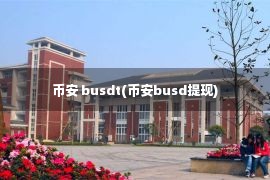 币安 busdt(币安busd提现)