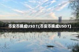 币安币换成USDT(币安币换成USDT)