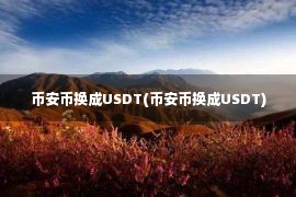 币安币换成USDT(币安币换成USDT)