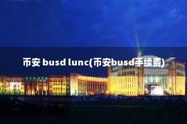 币安 busd lunc(币安busd手续费)