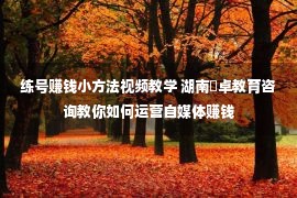 练号赚钱小方法视频教学 湖南屾卓教育咨询教你如何运营自媒体赚钱