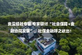 资深经验专家 专家研讨“社会保障+金融协同发展”，社保金融呼之欲出！