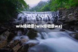 wlk经验条(wlk经验条wa)