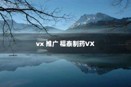 vx 推广 福泰制药VX