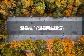 温县推广(温县网站建设)