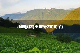 小吃模仿(小吃模仿的句子)