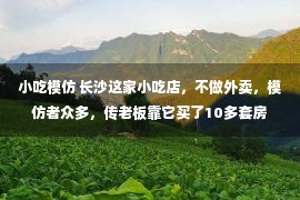 小吃模仿 长沙这家小吃店，不做外卖，模仿者众多，传老板靠它买了10多套房