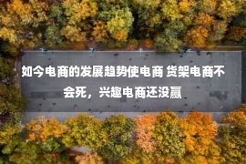 如今电商的发展趋势使电商 货架电商不会死，兴趣电商还没赢