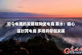 如今电商的发展趋势使电商 惠水：精心谋划育电商 多措并举促发展