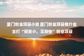 厦门创业项目小资 厦门创业项目推介会主打“投资小，见效快”创业项目