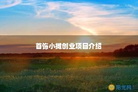 首饰小摊创业项目介绍 