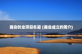 商会创业项目名称 (商会成立的简介)