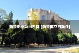 商会创业项目名称 (商会成立的简介)