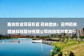 商会创业项目名称 和林微纳：苏州和林微纳科技股份有限公司向特定对象发行股票发行情况报告书