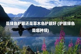 是绿色护眼还是草木色护眼好 (护眼绿色是哪种绿)