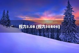 视力3.08 (视力3080ti)