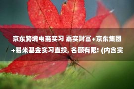 京东跨境电商实习 嘉实财富+京东集团+易米基金实习直投, 名额有限! (内含实习群, 每日更新JD)