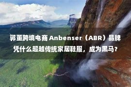 郭董跨境电商 Anbenser（ABR）品牌凭什么超越传统家居鞋服，成为黑马？