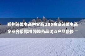 郑州跨境电商供货商 200余家跨境电商企业齐聚郑州 跨境药品试点产品最快“次日达”