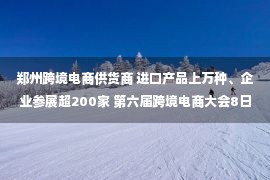 郑州跨境电商供货商 进口产品上万种、企业参展超200家 第六届跨境电商大会8日开幕