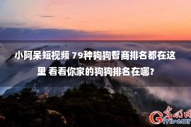 小阿呆短视频 79种狗狗智商排名都在这里 看看你家的狗狗排名在哪？